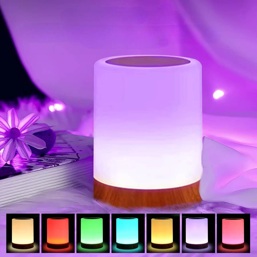 Elegant Bärbar Touchlampa